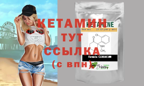 стафф Арсеньев