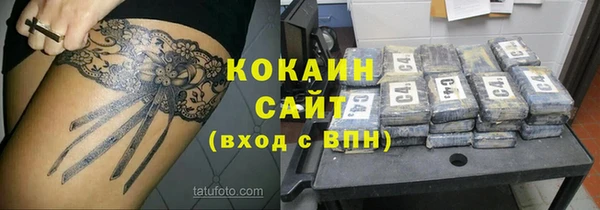 стафф Арсеньев