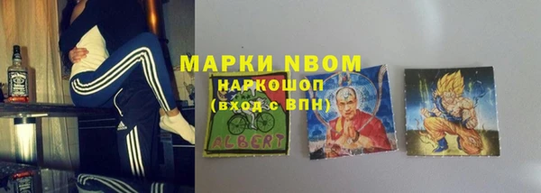 стафф Арсеньев