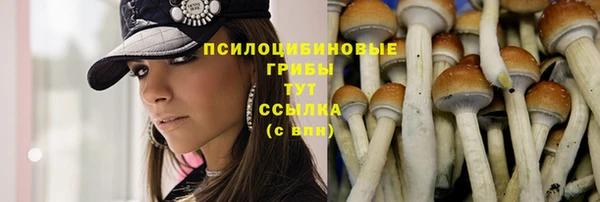 таблы Армянск