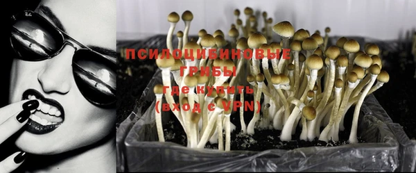 скорость Аркадак